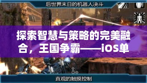 智慧與策略的巔峰，探索王國爭霸iOS單機(jī)游戲新紀(jì)元