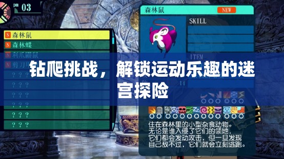 解鎖運(yùn)動樂趣，鉆爬挑戰(zhàn)的迷宮探險