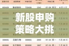 新股申購策略大挑戰(zhàn)，智慧投資者的虛擬戰(zhàn)場