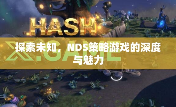 探索未知，NDS策略游戲的深度與魅力