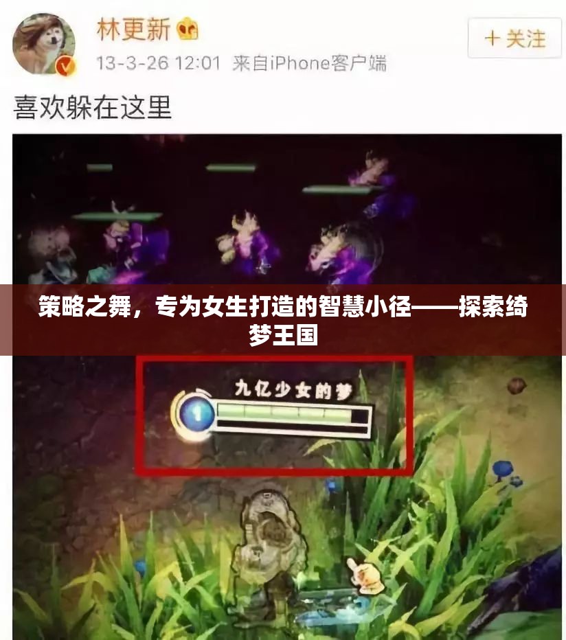 策略之舞，專為女生的智慧小徑，探索綺夢王國的奧秘