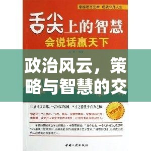 權(quán)謀天下，政治風(fēng)云與策略智慧的交響曲