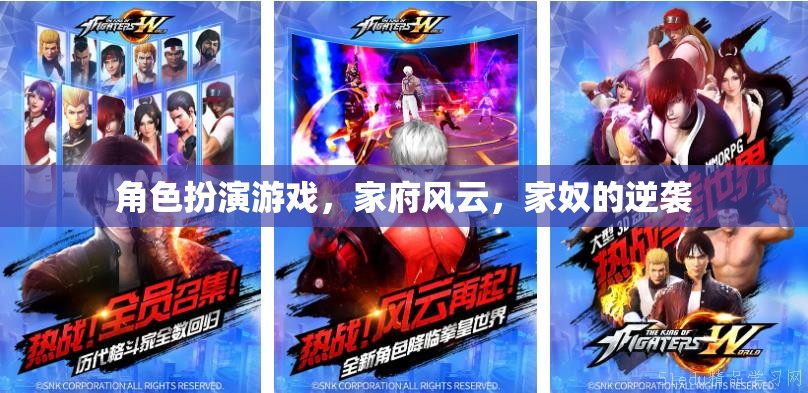 家府風云，家奴的逆襲——角色扮演游戲中的逆襲之路  第2張
