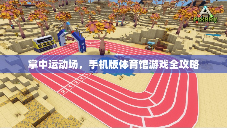 掌中運動場，手機版體育館游戲全攻略