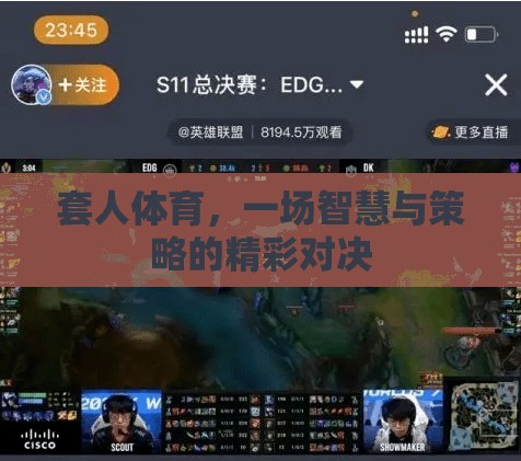 智慧與策略的精彩碰撞，套人體育的魅力  第1張