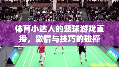 籃球激情與技巧的碰撞，體育小達人的精彩直播