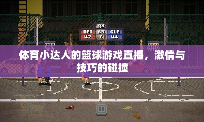 籃球激情與技巧的碰撞，體育小達人的精彩直播