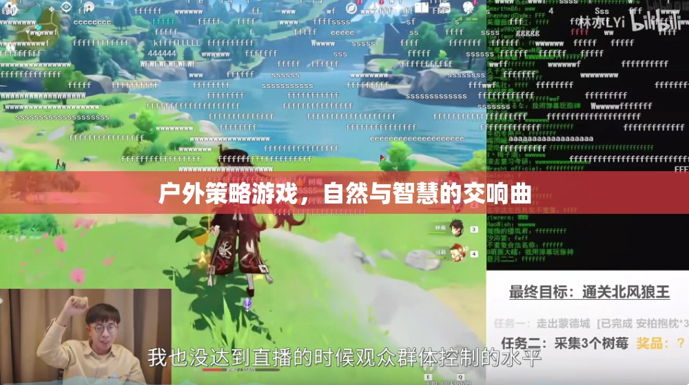 戶外策略游戲，自然與智慧的交響曲