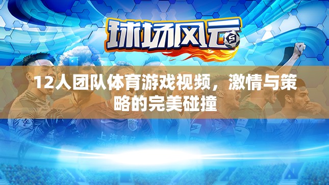 12人團隊體育游戲視頻，激情與策略的完美碰撞