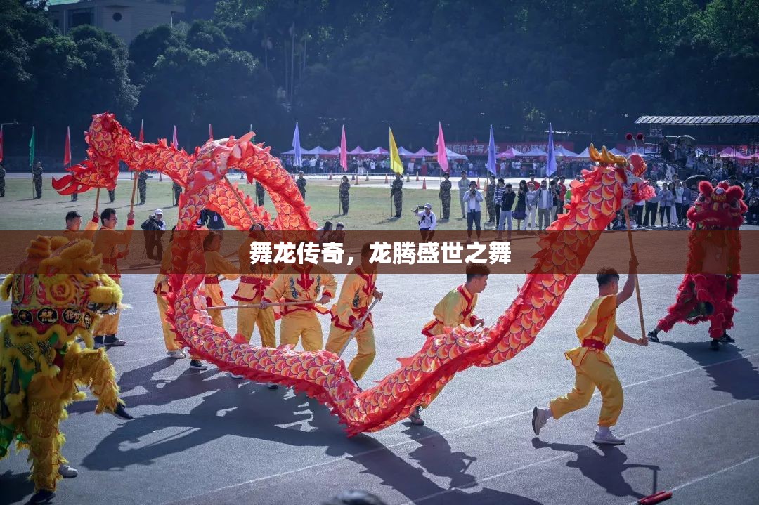 舞龍傳奇，龍騰盛世之舞的震撼演繹