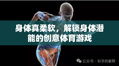 解鎖身體潛能，創(chuàng)意體育游戲中的柔軟挑戰(zhàn)