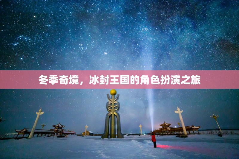 冰封王國，冬季奇境的角色扮演探險之旅  第2張