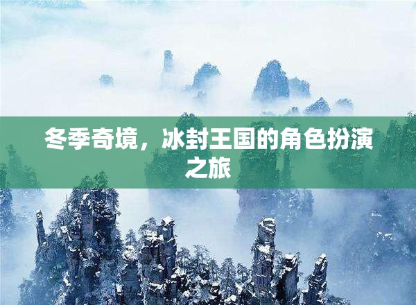 冰封王國，冬季奇境的角色扮演探險之旅  第1張