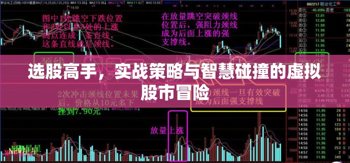 選股高手，實戰(zhàn)策略與智慧碰撞的虛擬股市冒險