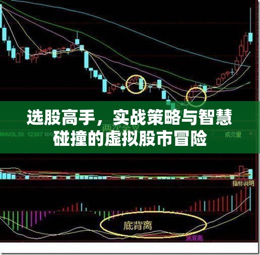 選股高手，實戰(zhàn)策略與智慧碰撞的虛擬股市冒險