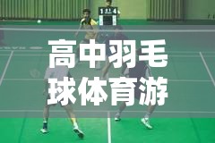 羽翼飛揚(yáng)高中羽毛球體育游戲，青春競(jìng)技場(chǎng)上的速度與激情