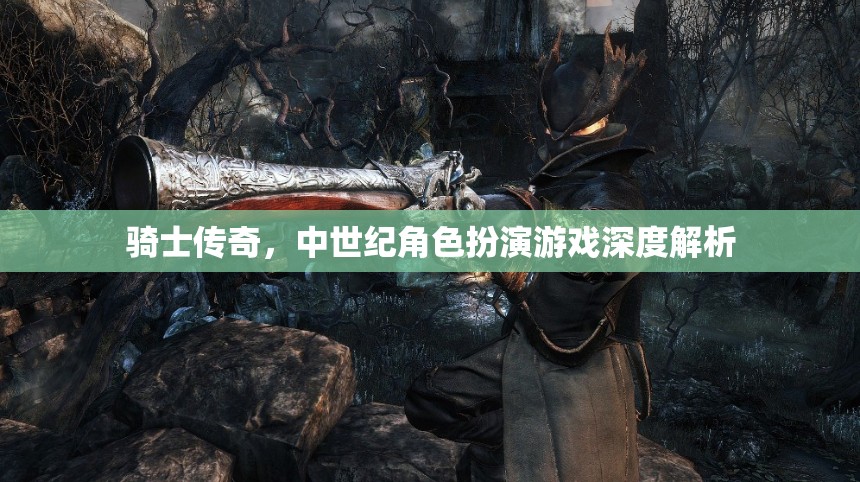 中世紀(jì)騎士傳奇，深度解析與角色扮演的魅力