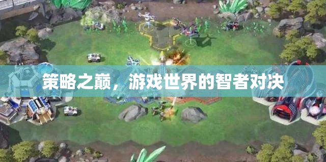 策略之巔，游戲世界的智者對決