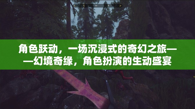 幻境奇緣，一場沉浸式角色扮演的奇幻之旅