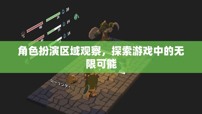 角色扮演區(qū)域觀察，解鎖游戲中的無(wú)限可能