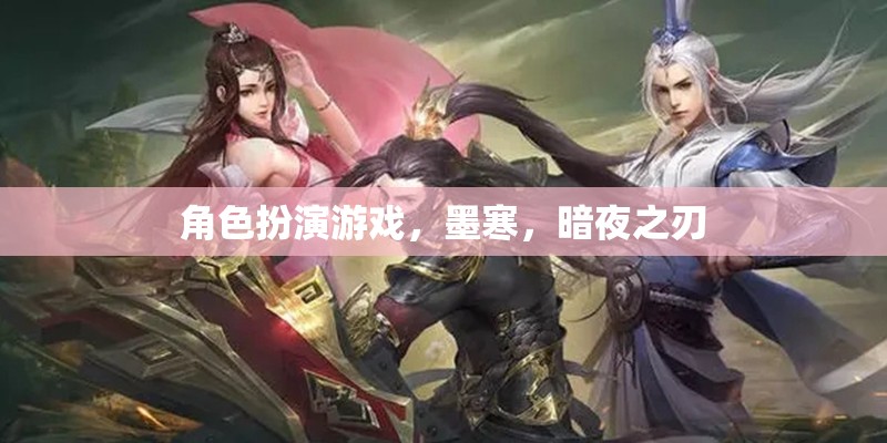 暗夜之刃，墨寒的冒險(xiǎn)之旅——角色扮演游戲的深度探索