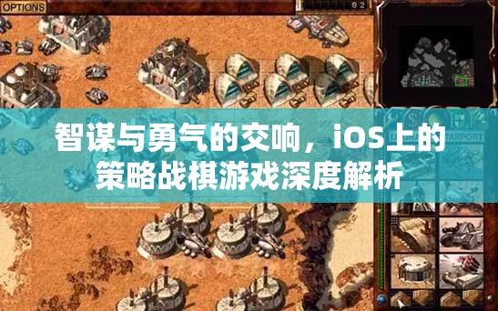 智勇交響，iOS平臺(tái)策略戰(zhàn)棋游戲的深度剖析  第3張