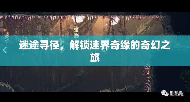 迷途尋徑，解鎖迷界奇緣的奇幻之旅
