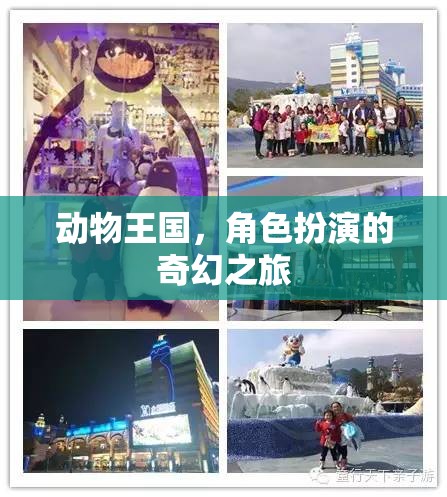 動物王國，角色扮演的奇幻冒險之旅