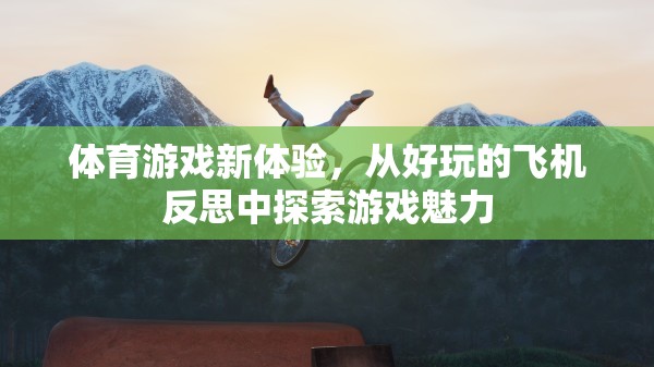 體育游戲新體驗(yàn)，從好玩的飛機(jī)反思中探索游戲魅力