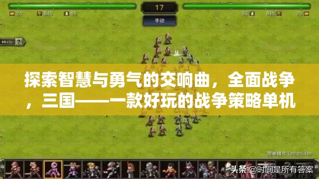 探索智慧與勇氣的交響曲，全面戰(zhàn)爭，三國——一款好玩的戰(zhàn)爭策略單機(jī)游戲