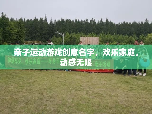 歡樂家庭，動(dòng)感無限，親子運(yùn)動(dòng)游戲創(chuàng)意命名