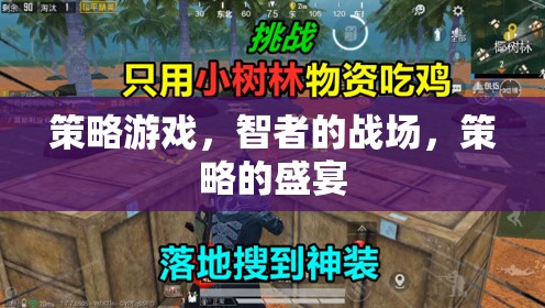 智者的戰(zhàn)場，策略游戲的策略盛宴