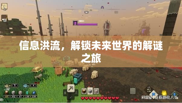信息洪流，解鎖未來世界的解謎之旅