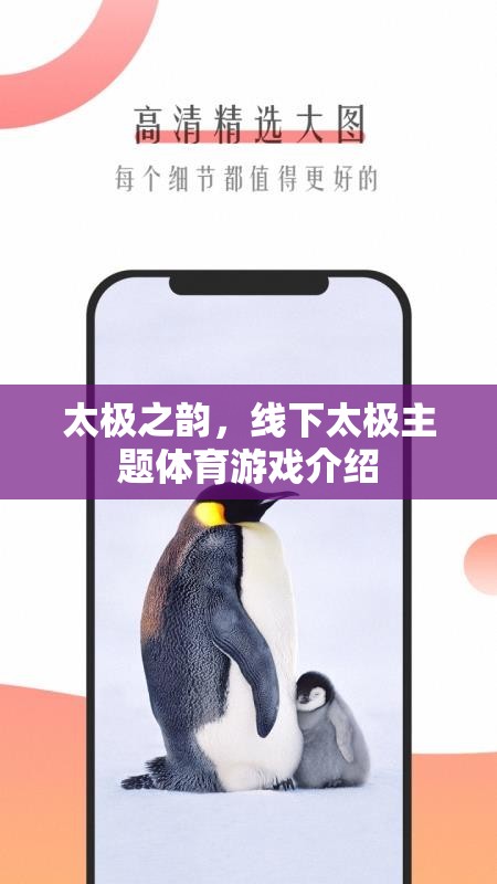 太極之韻，線下太極主題體育游戲的魅力探索