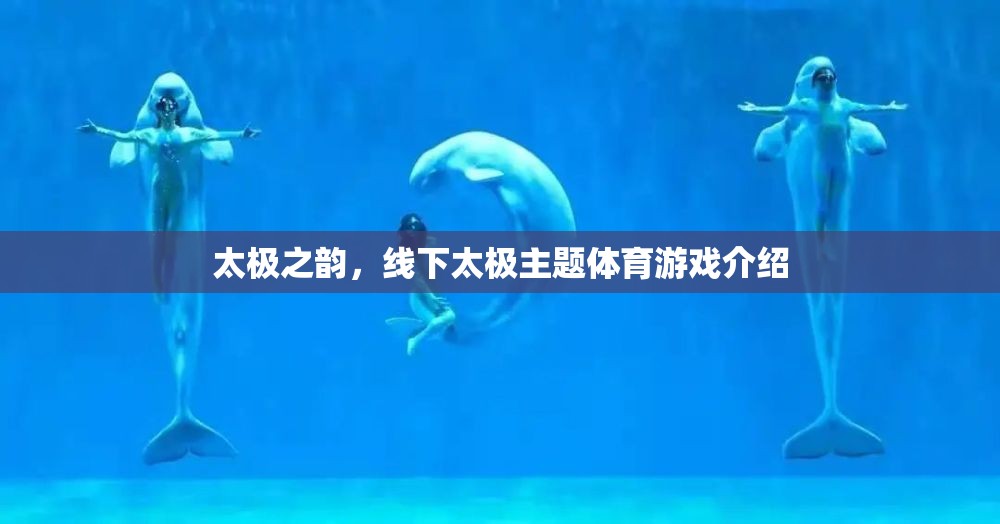 太極之韻，線下太極主題體育游戲的魅力探索