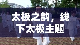太極之韻，線下太極主題體育游戲的魅力探索