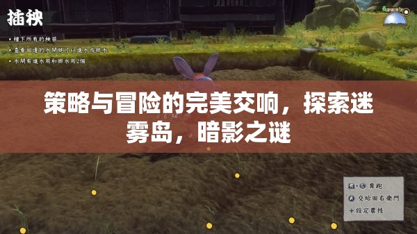迷霧島，策略與冒險(xiǎn)的暗影交響曲
