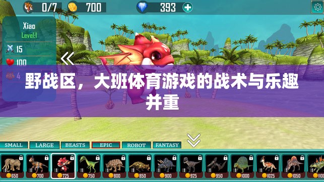 野戰(zhàn)區(qū)，大班體育游戲中的戰(zhàn)術與樂趣并重