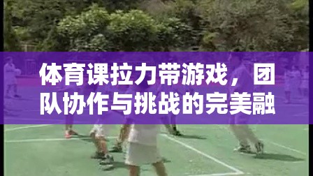 拉力帶游戲，團隊協(xié)作與挑戰(zhàn)的完美融合