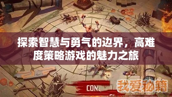 智慧與勇氣的邊界探索，高難度策略游戲的魅力之旅