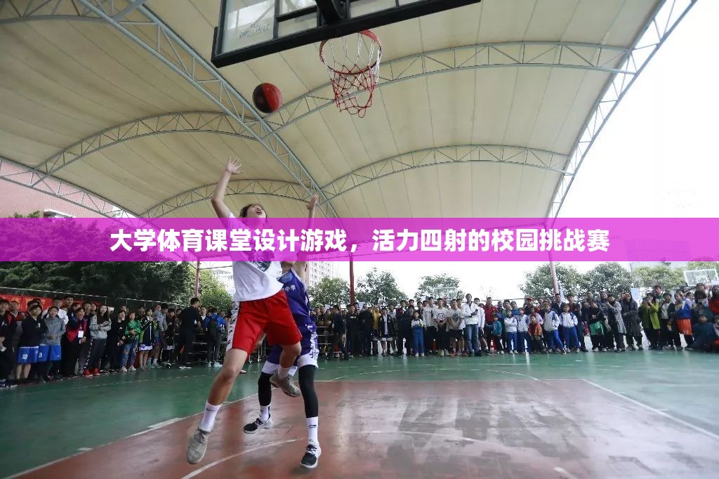 大學(xué)體育課堂，活力四射的校園挑戰(zhàn)賽設(shè)計