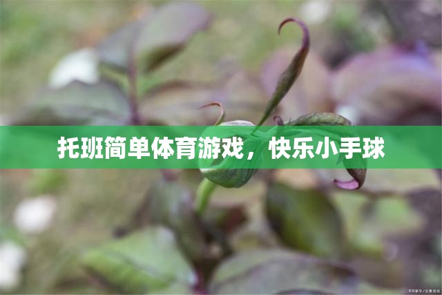 托班歡樂(lè)小手球，簡(jiǎn)單體育游戲，快樂(lè)成長(zhǎng)