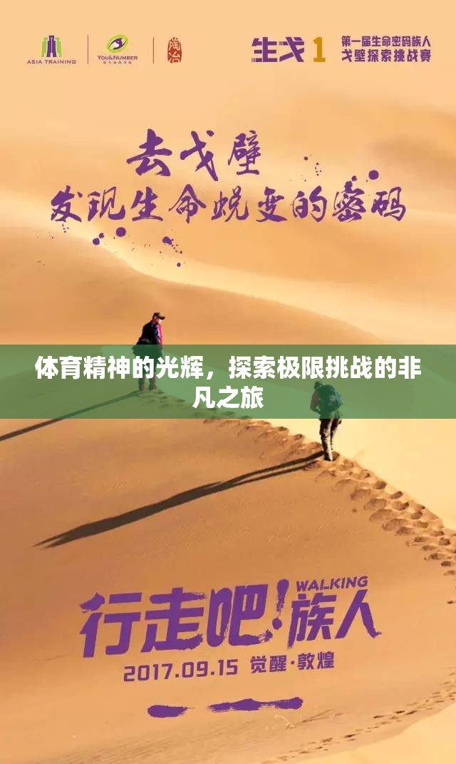 體育精神的光輝，探索極限挑戰(zhàn)的非凡之旅