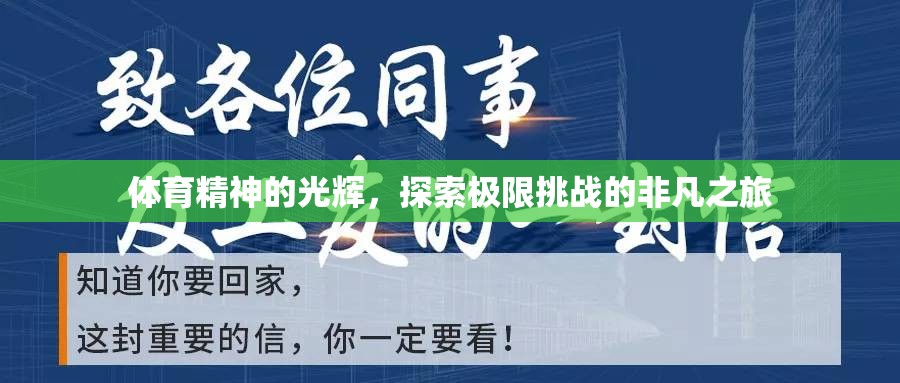 體育精神的光輝，探索極限挑戰(zhàn)的非凡之旅