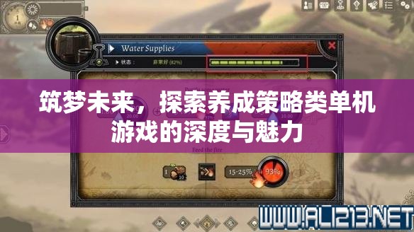 筑夢(mèng)未來，探索養(yǎng)成策略類單機(jī)游戲的深度與魅力