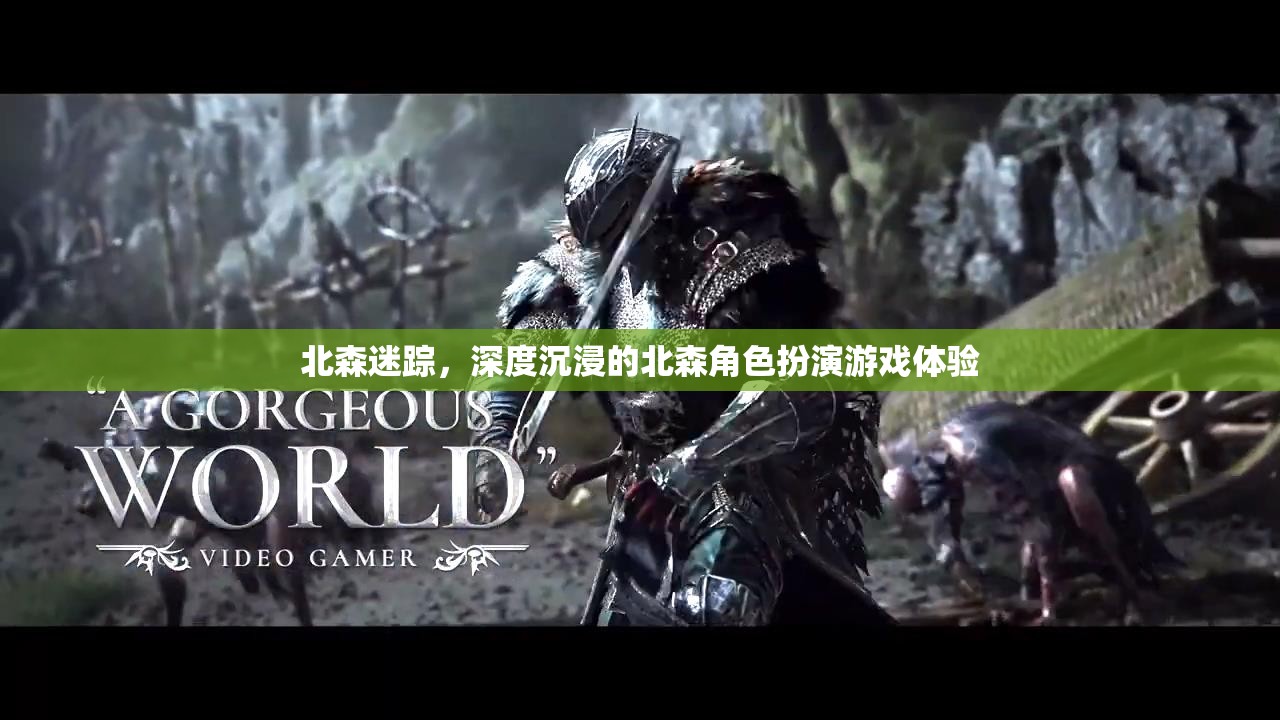北森迷蹤，解鎖深度沉浸的RPG游戲體驗(yàn)  第3張