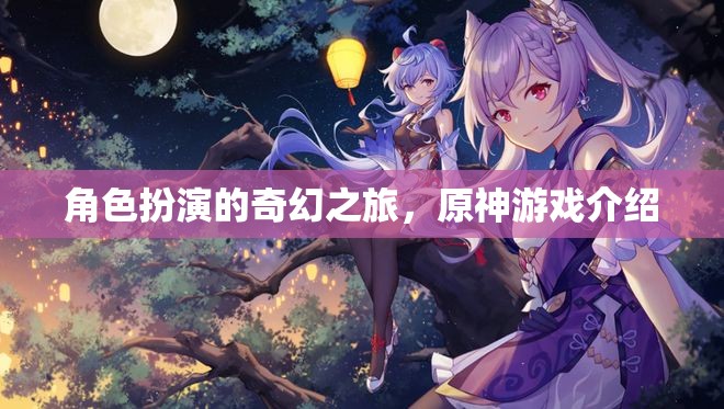 原神，角色扮演的奇幻之旅  第3張