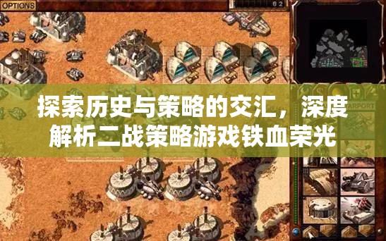 探索歷史與策略的交匯，深度解析二戰(zhàn)策略游戲鐵血榮光