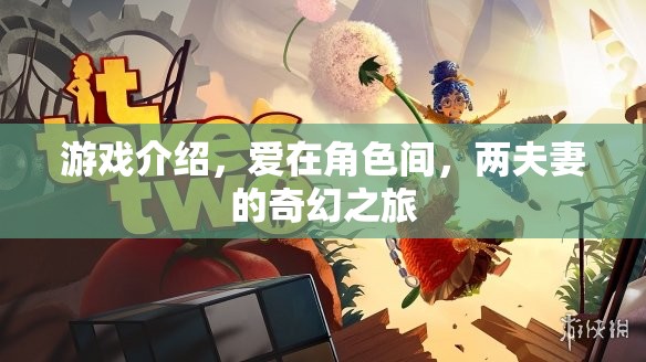 游戲介紹，愛在角色間，兩夫妻的奇幻之旅