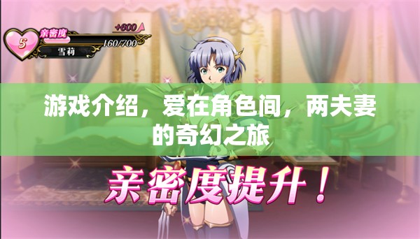 游戲介紹，愛在角色間，兩夫妻的奇幻之旅
